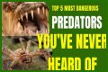 10 Terrifying And Deadly Predators You've Never Heard Of