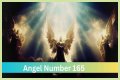 
ANGEL NUMBER 165
