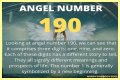
ANGEL NUMBER 190
