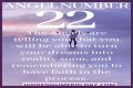 
ANGEL NUMBER 22
