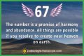 
ANGEL NUMBER 67
