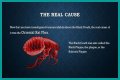 What Really Caused the Black Death: Anthrax or Celestial Bodies?