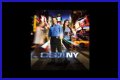 Who sang CSI NY theme song? – Janet-Panic.com