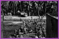 WWII's Most Daring Raids - Smithsonian Channel